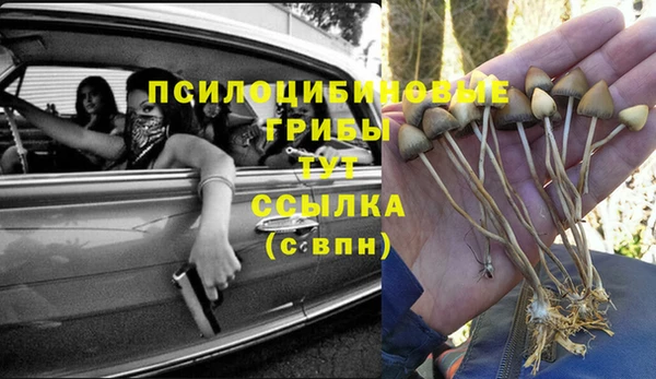 ешки Ступино
