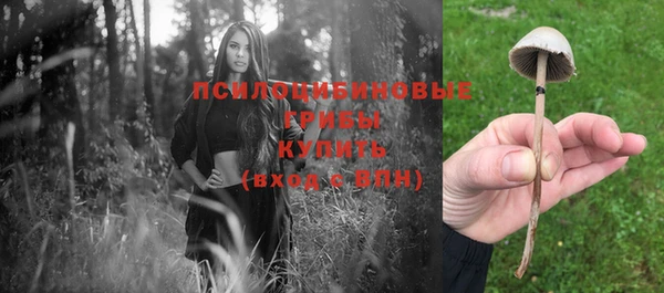 spice Красноперекопск