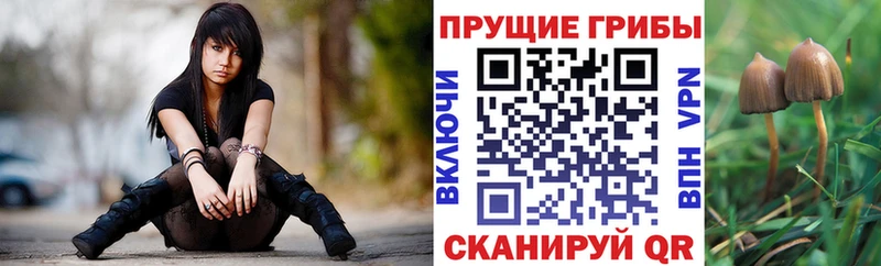 Галлюциногенные грибы мицелий  цена   МЕГА зеркало  Сухой Лог 
