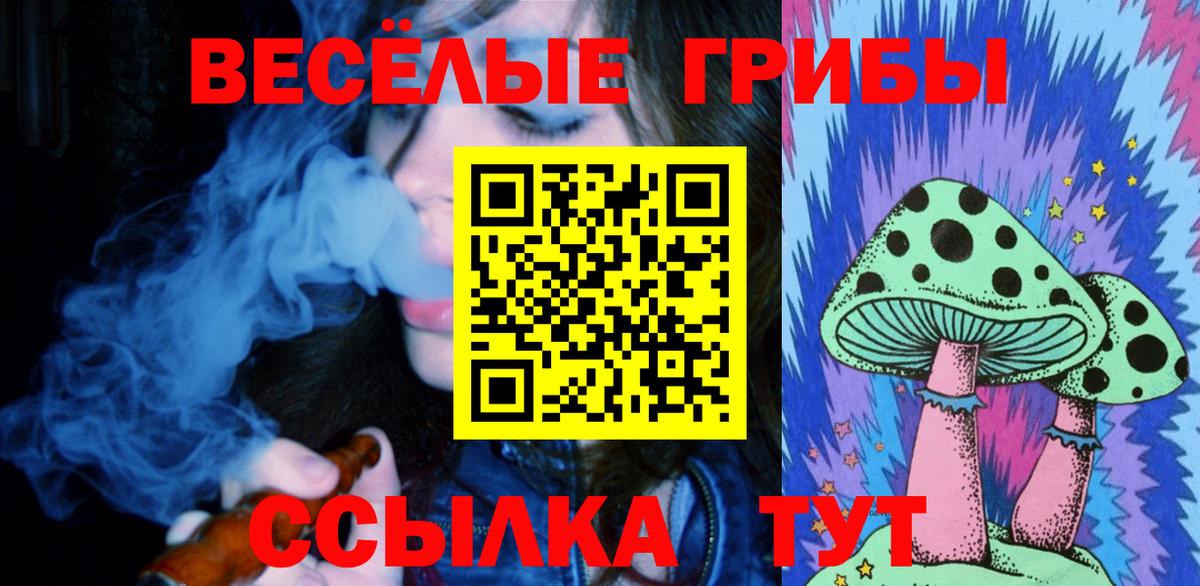 Псилоцибиновые грибы мицелий Сухой Лог