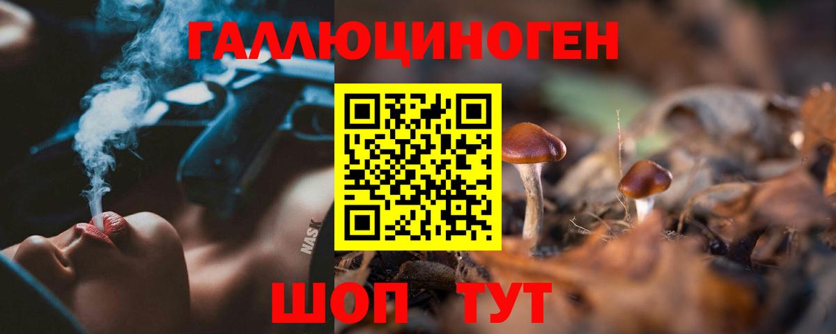 Псилоцибиновые грибы ЛСД  даркнет сайт  Сухой Лог  Вход с VPN 